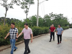 【鄭投產(chǎn)業(yè)園要聞】約克動漫一行赴虎牢關實地參觀，推進公司文創(chuàng)板塊發(fā)展